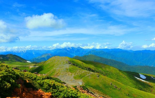 夏の乗鞍岳