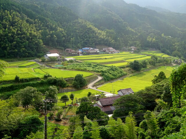 山村の棚田が色付く頃