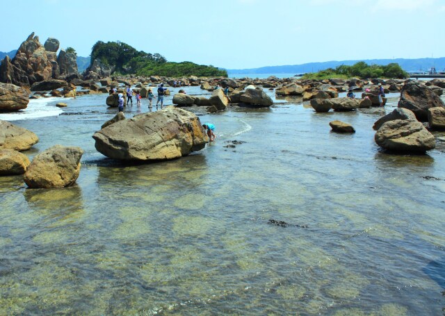 夏の海