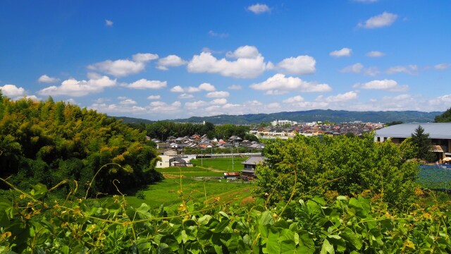 夏の馬見丘陵公園