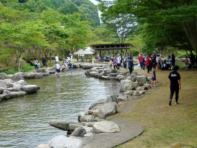 涼を求めて 山の公園