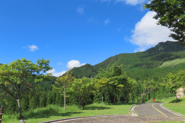 晩夏の高原2