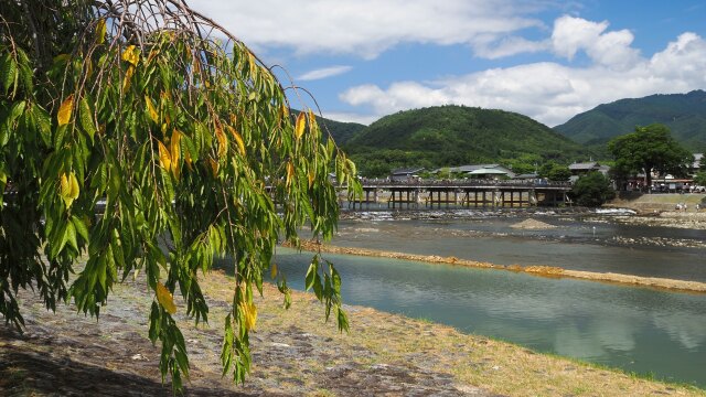 夏の嵐山