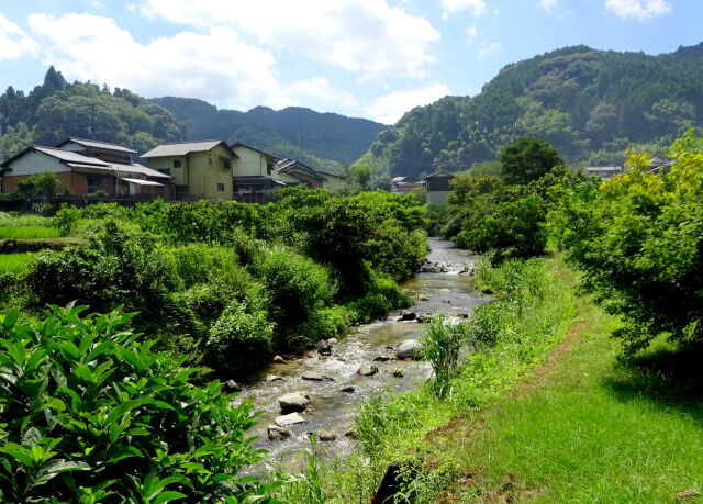 8月下旬 里を流れる小川