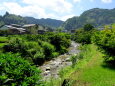 8月下旬 里を流れる小川