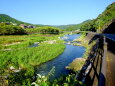 間もなく9月 嘉瀬川中流