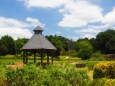 夏の馬見丘陵公園