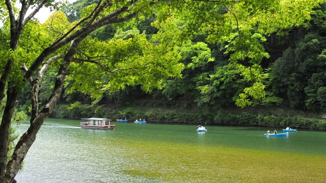 夏の嵐山