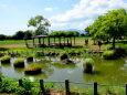 晩夏の公園