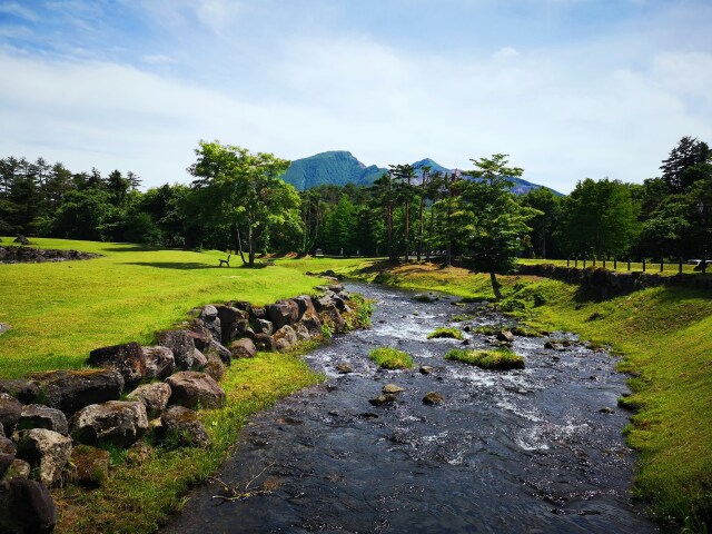 夏の水辺