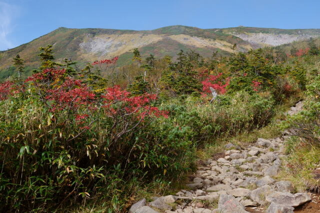 白馬乗鞍岳への道