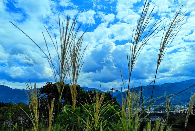 夏空に秋の気配