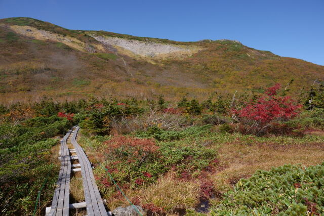 秋の天狗原にて