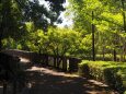 夏の馬見丘陵公園