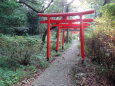 秋の近づき 神社参道