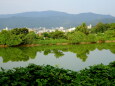 里山の湖から