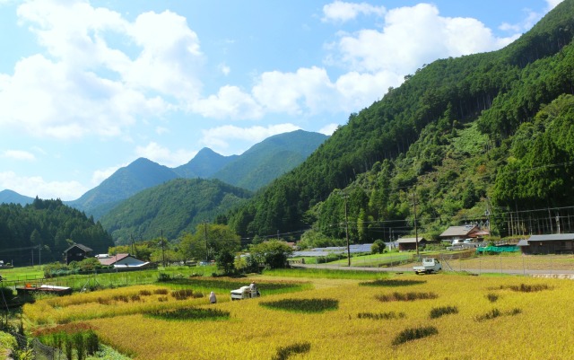 初秋の里山