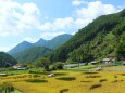 初秋の里山