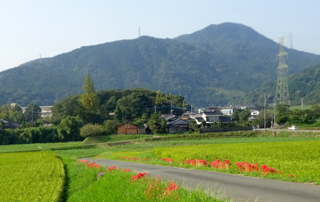 里に彼岸花が咲くころ