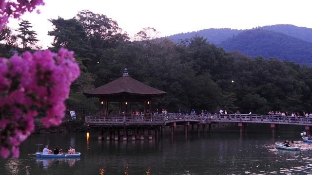 奈良浮見堂の夕景