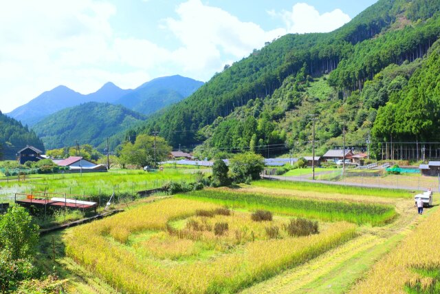 初秋の里山