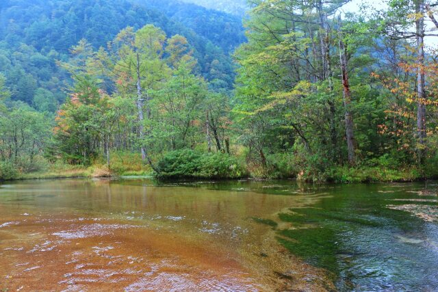 初秋の田代湿原