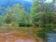 初秋の田代湿原