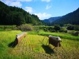 初秋の里山