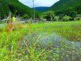 初秋の里山