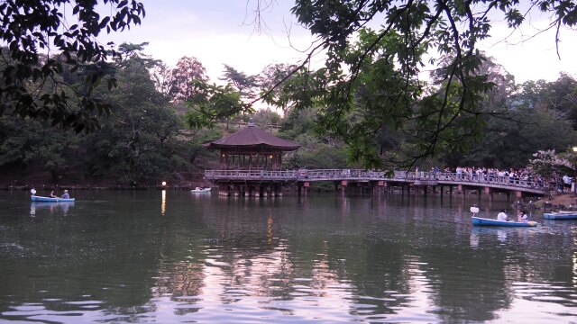 浮見堂の夕景