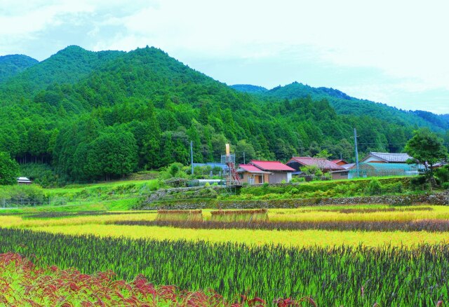 初秋の里山