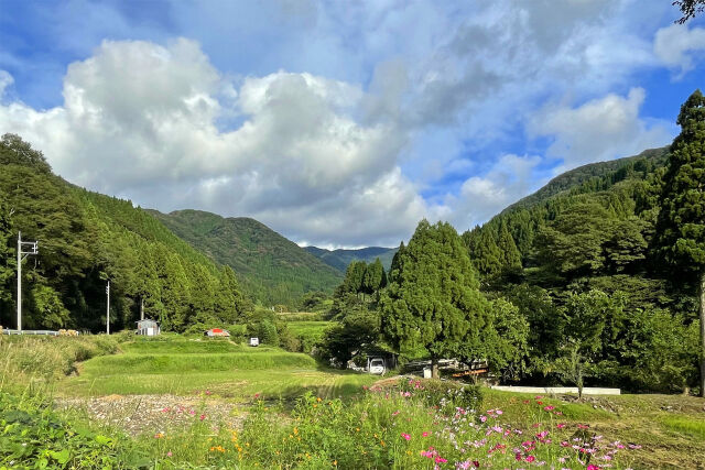 秋の山里