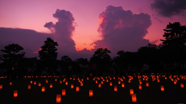 奈良公園の夕景