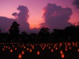 奈良公園の夕景