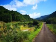 初秋の里山