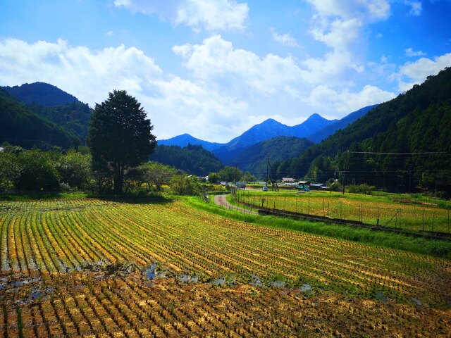 初秋の里山