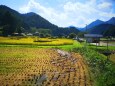 初秋の里山