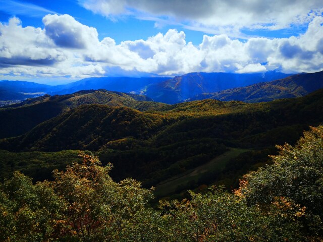 9月の栂池高原