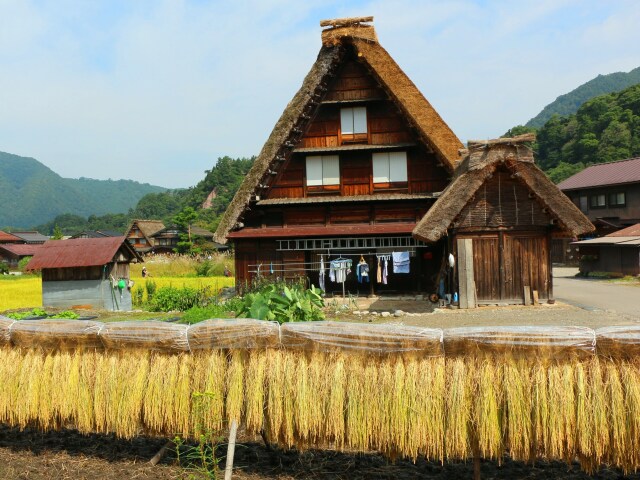 9月の白川郷