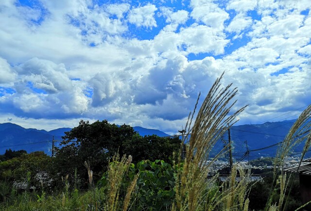 秋の空