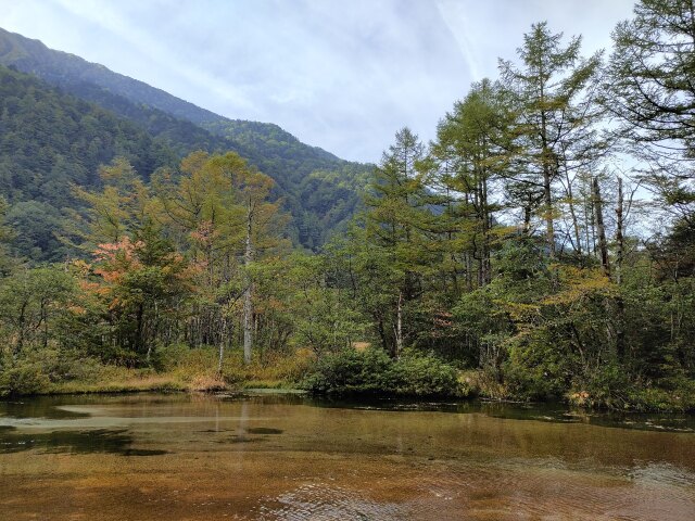 初秋の田代湿原