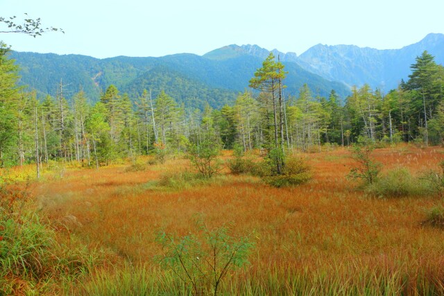 秋の田代湿原