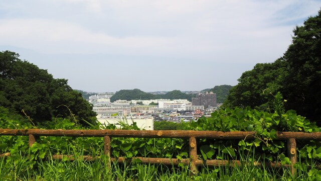 夏のくりはま花の国