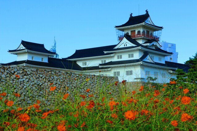 秋の富山城