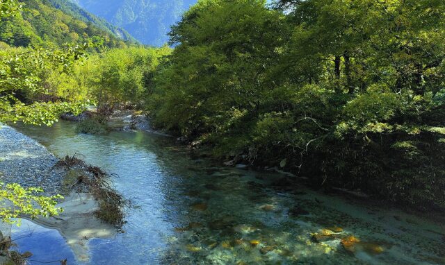 初秋の水辺