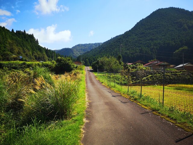 初秋の里山