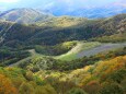 色づき始めの栂池高原