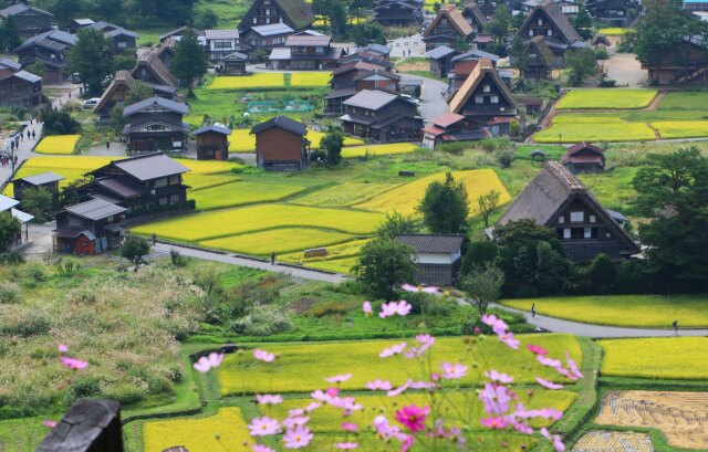 9月の白川郷