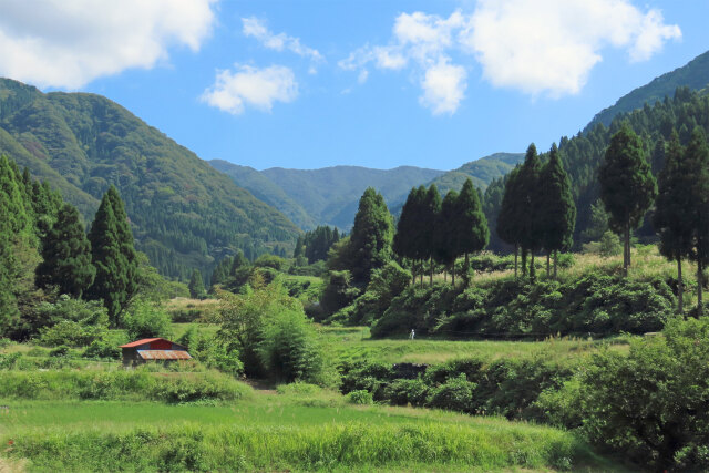 秋を迎える山里