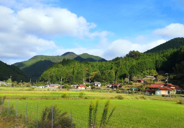 初秋の里山